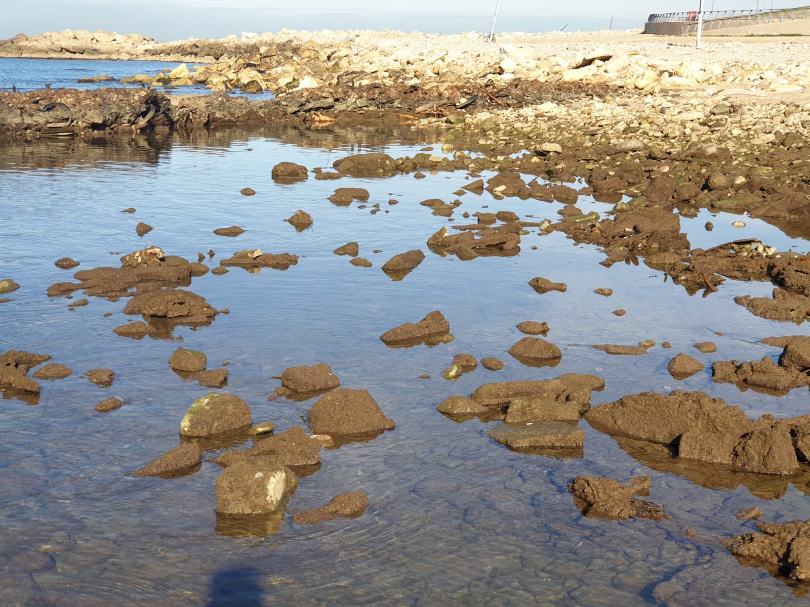 WhatsApp Image 2020-01-27 at 9.04.55 AM.jpeg.jpeg